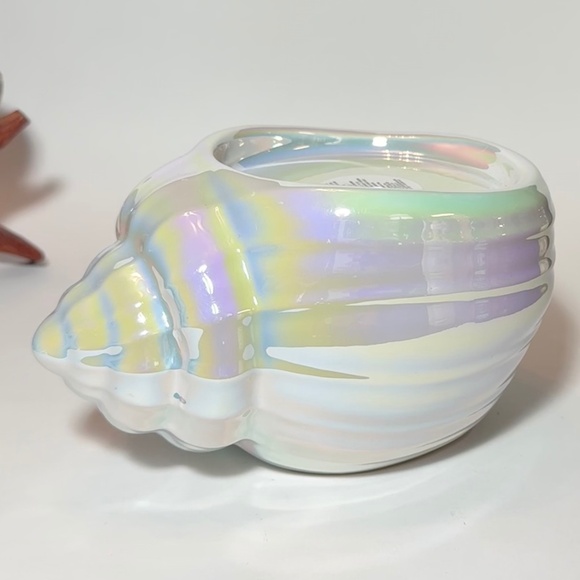SEASHELL Candle Holder - Picture 1 of 4